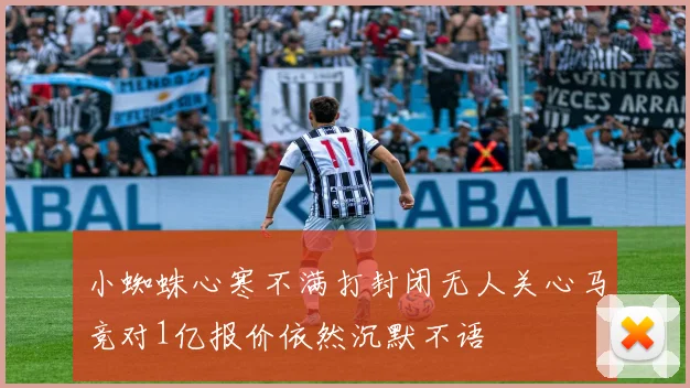 小蜘蛛心寒不满打封闭无人关心马竞对1亿报价依然沉默不语