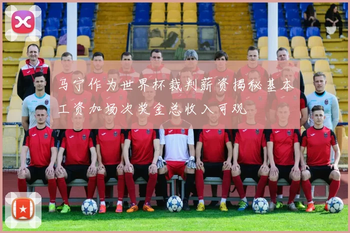 马宁作为世界杯裁判薪资揭秘基本工资加场次奖金总收入可观